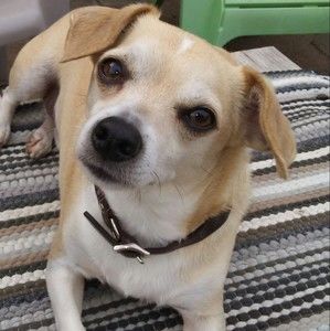 Meet your Posher, Lori